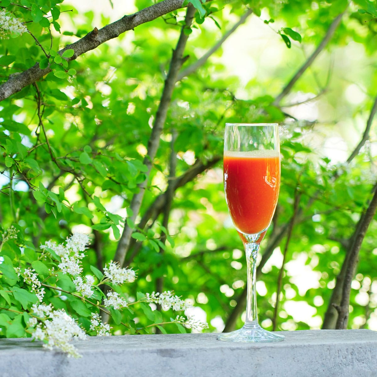 ジェイ・イー・ティ・アグリ】トマピカルネクター 700ml | ABC