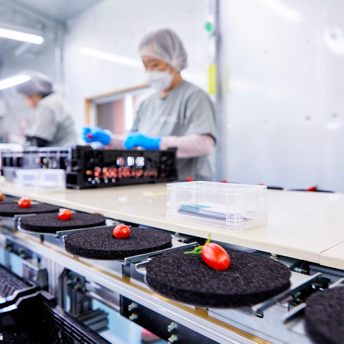 ジェイ・イー・ティ・アグリ】トマピカルネクター 700ml | ABC