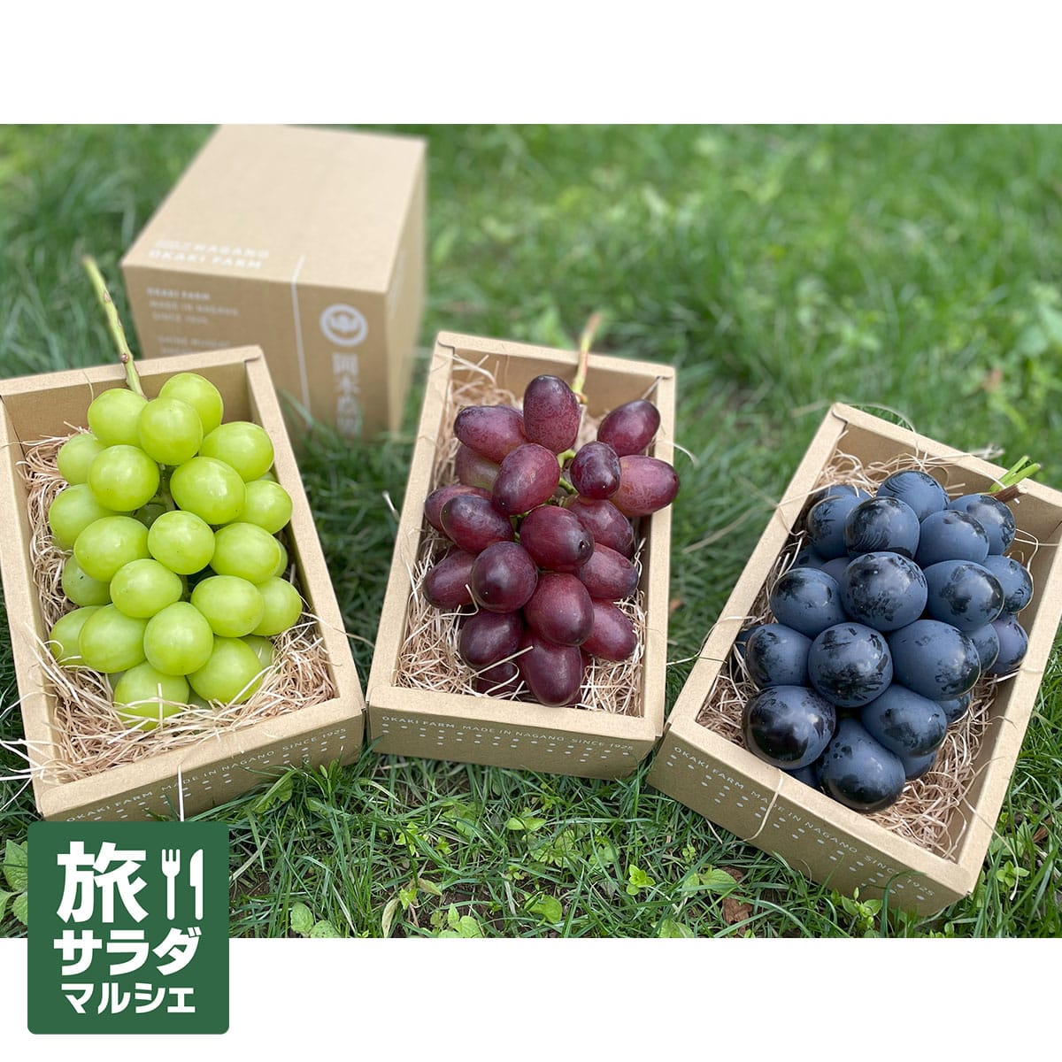 10,001円~30,000円 | ABCミッケ｜【公式】ABC通販サイト