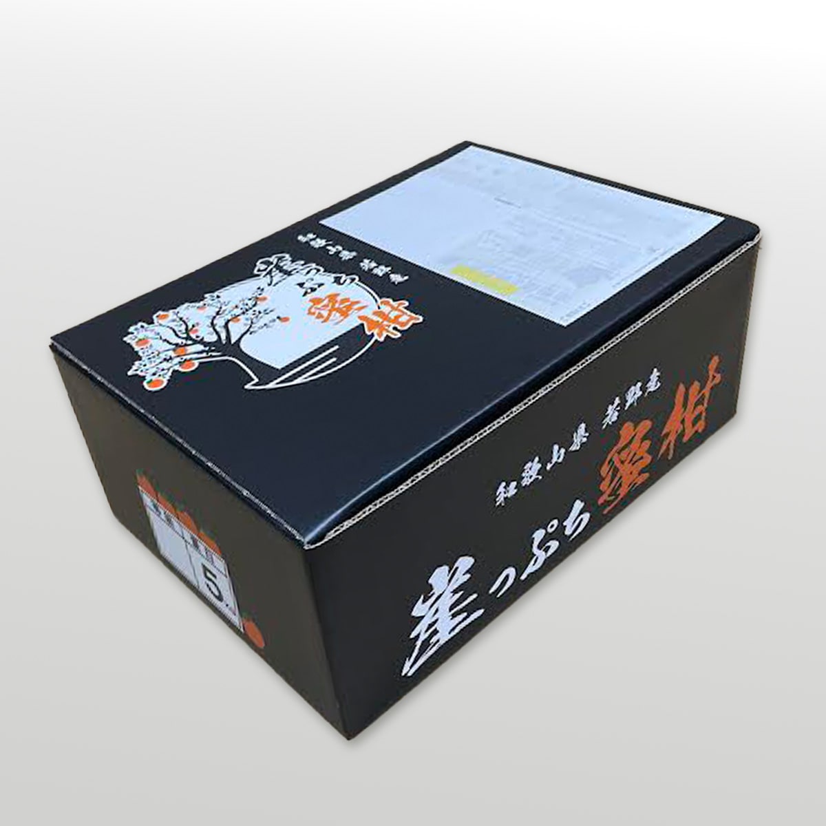 進物用 崖っぷち蜜柑:5kg | ABCミッケ｜【公式】ABC通販サイト