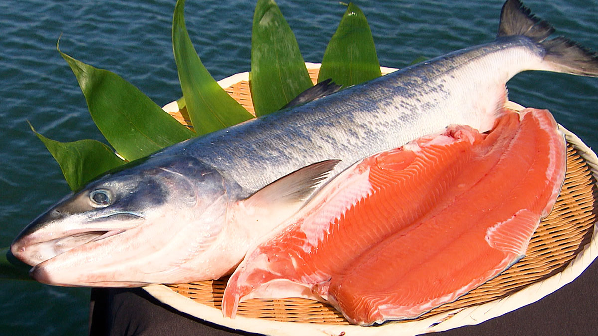 鮭 北海道産天然鮭とば150g(無添加・無着色)の通販｜最北の海鮮市場