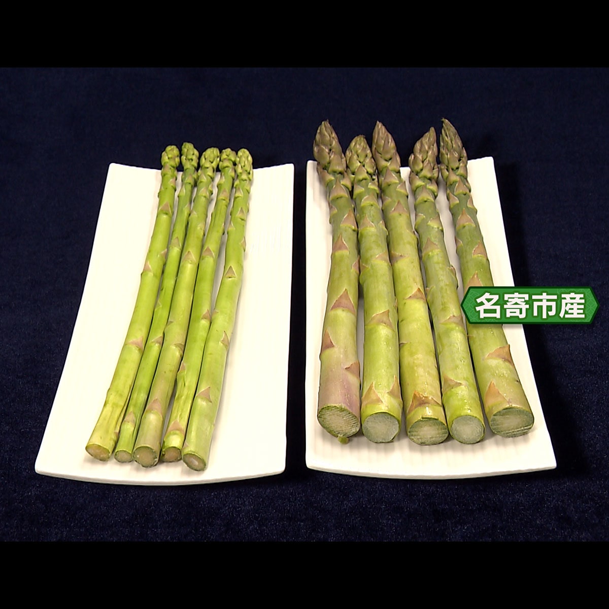 名寄市産 鮮度抜群！シャキッと特大グリーンアスパラ2㎏ | ABC
