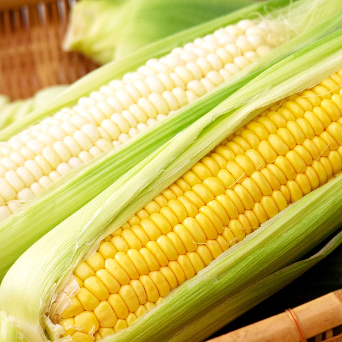 名寄市産 朝採れ！とうもろこし食べ比べセット22本 | ABCミッケ