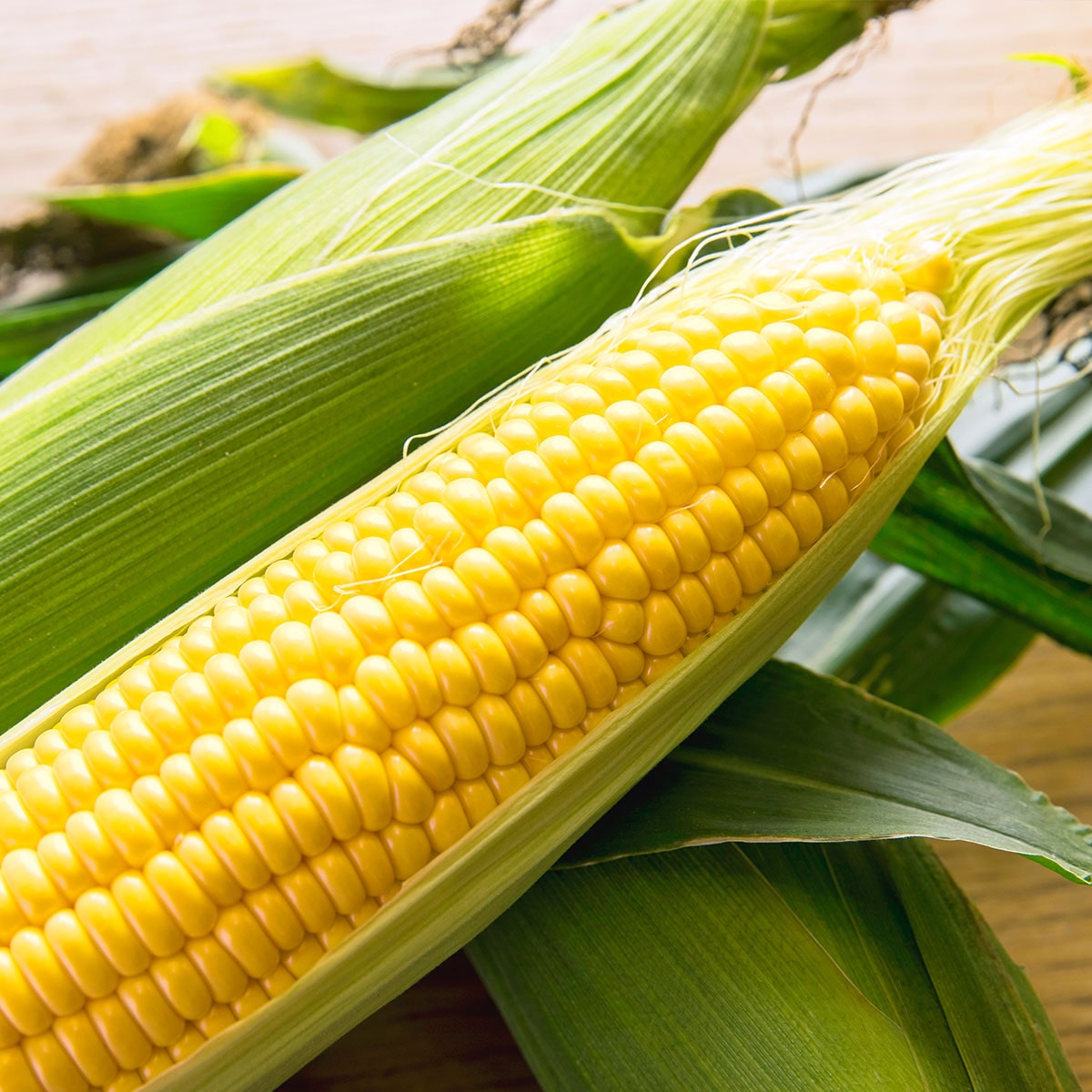名寄市産 朝採れ！とうもろこし食べ比べセット22本 | ABCミッケ