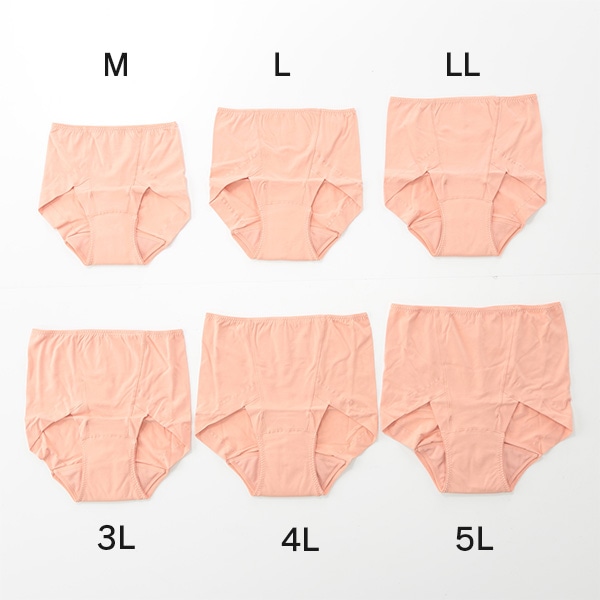 10/31～11/2】スタイルセレブリティ吸水消臭ショーツ 4色セット