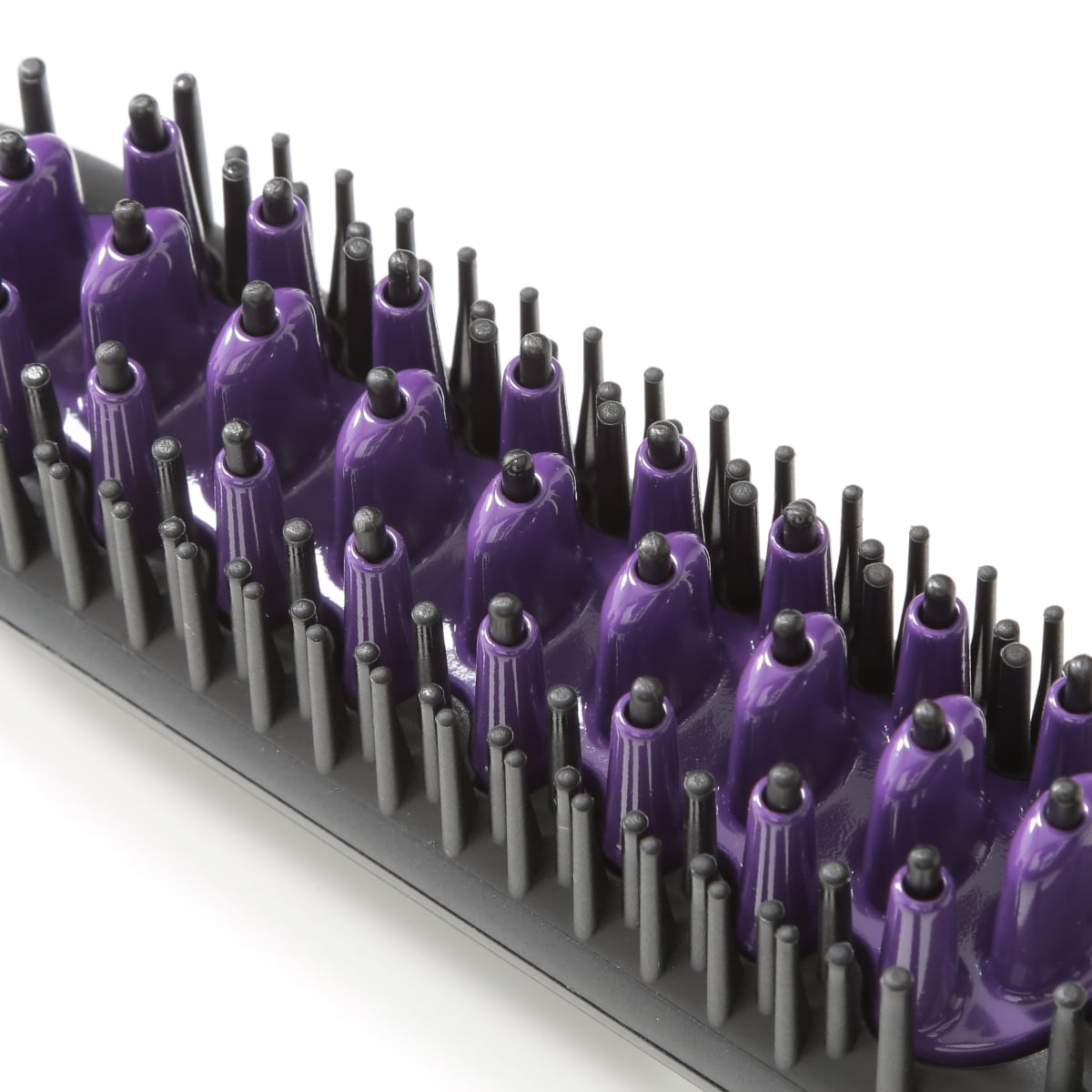 ブラヘアアルマータ　極太株　幹幅11センチ　3連休限定セール ブラヘアアルマータ 極太株 幹幅11センチ 3連休限定セール 商品詳細