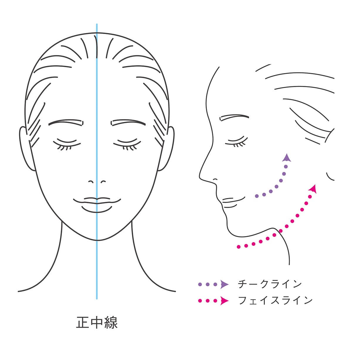 リファダブル(ReFa DOUBLE) ホワイト | ABCミッケ｜【公式】ABC通販