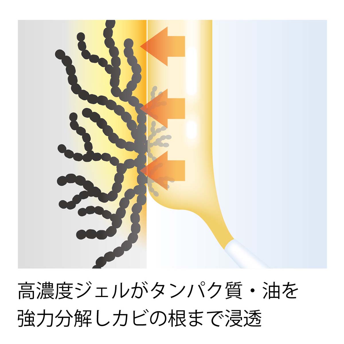 カビ取り名人 2本組 ａｂｃミッケ 公式 Abc通販サイト