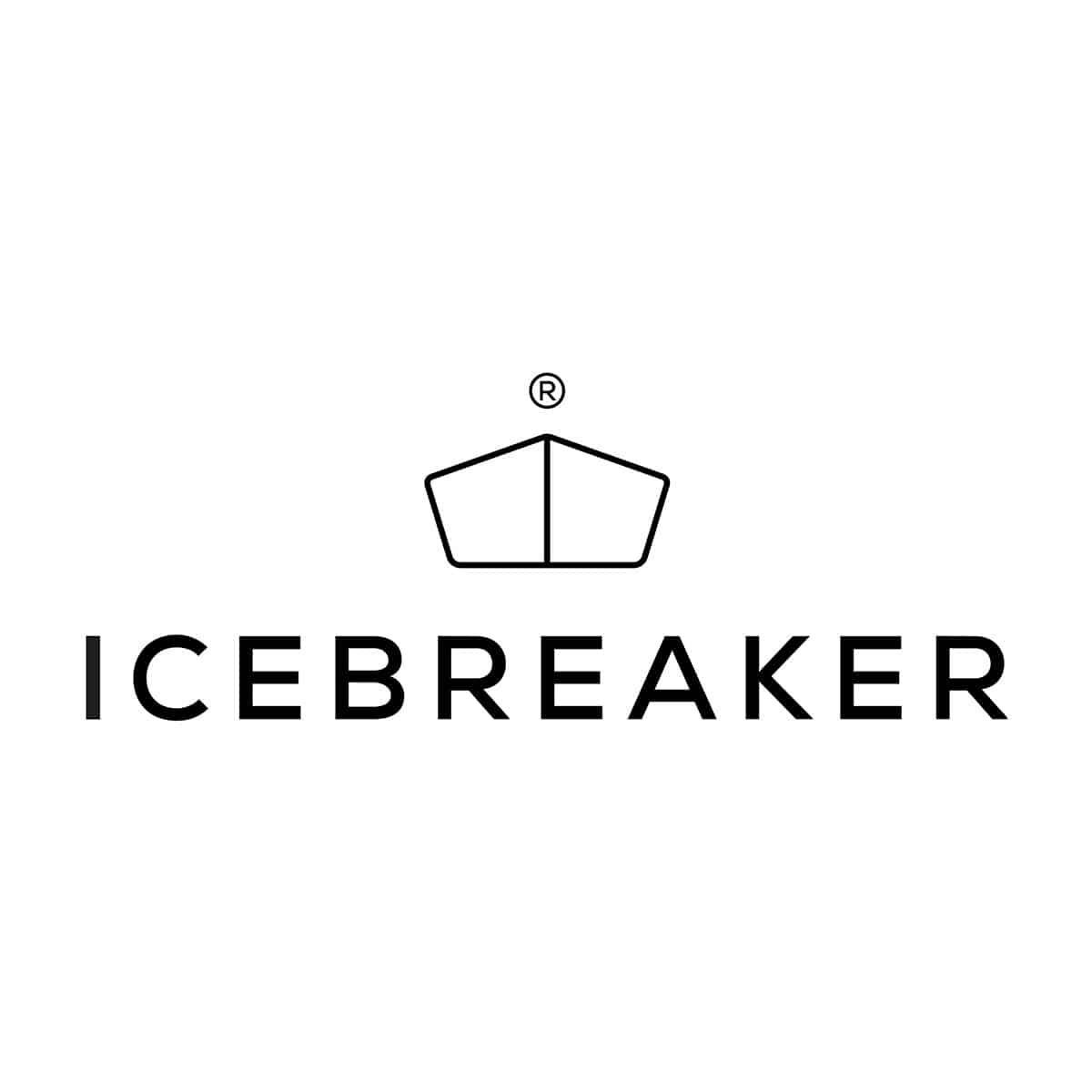 ICEBREAKER アイストレー2個セット