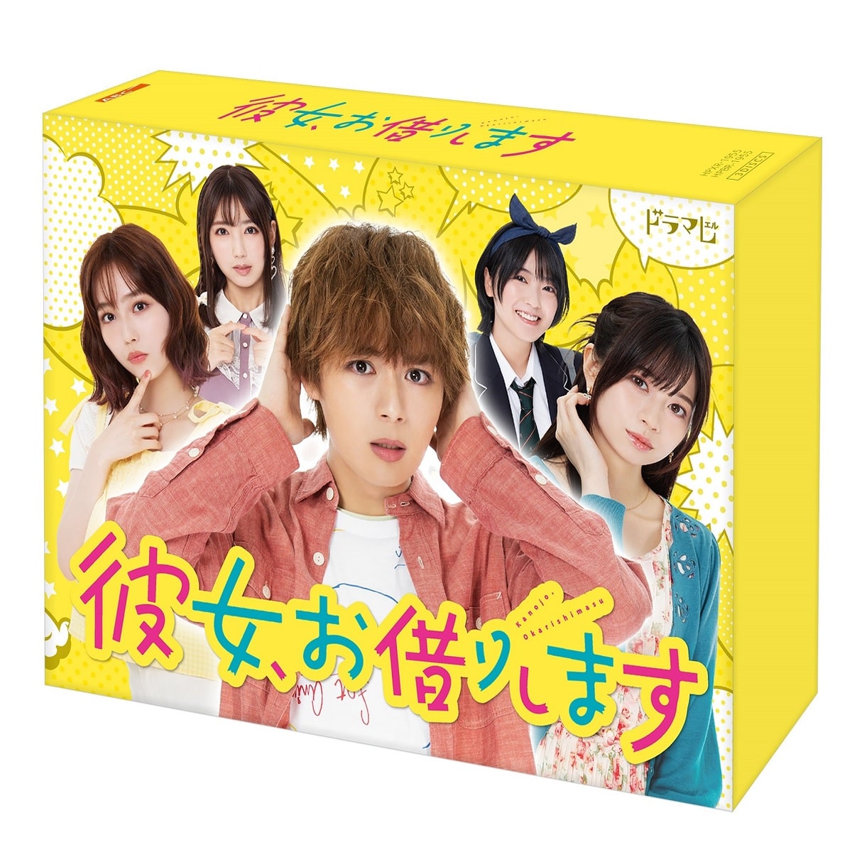 彼女、お借りします DVD BOX