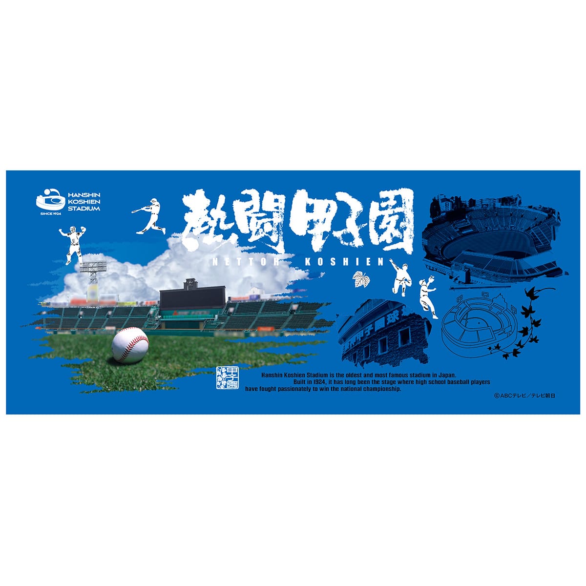 熱闘甲子園DVD 2007〜2023超豪華16本セット