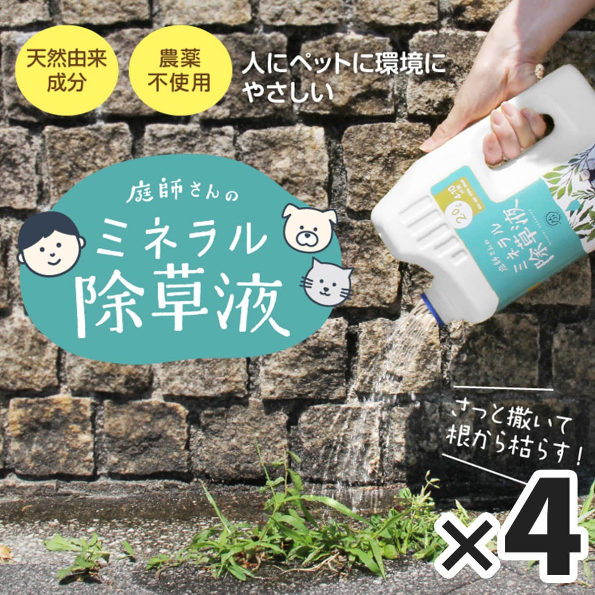 せのぶら本舗 | ABCミッケ｜【公式】ABC通販サイト