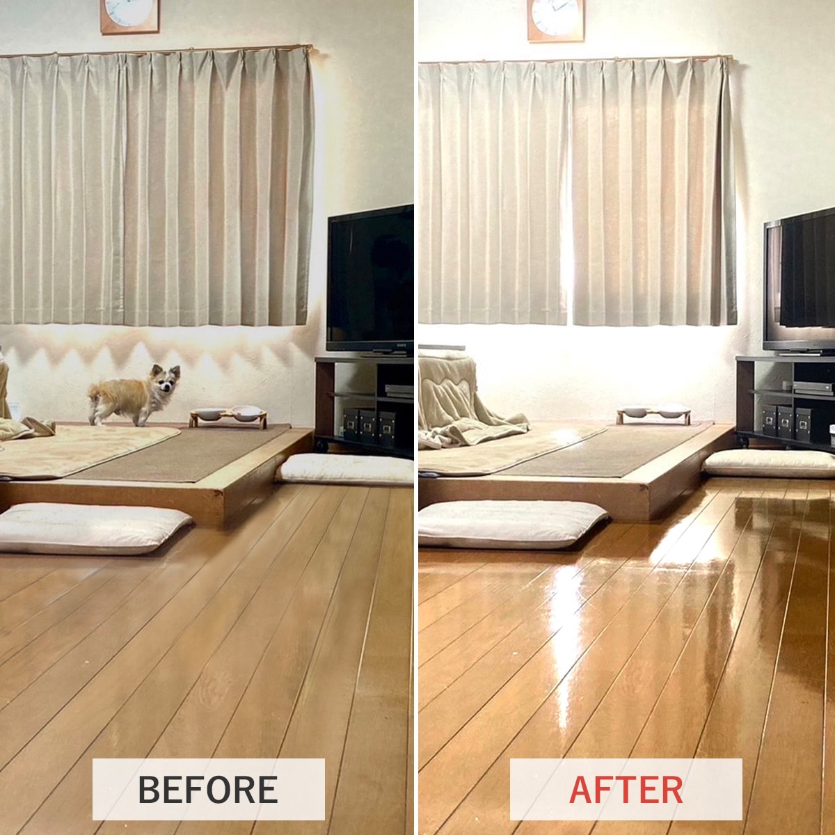 輝きが戻るフロアワックス シャイントップQ10：1L | ABC