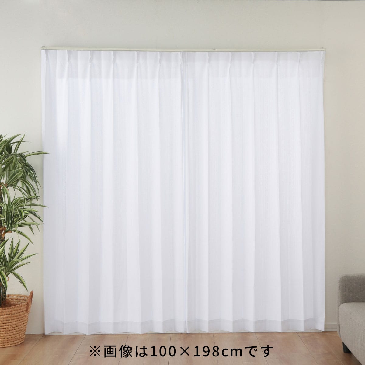 9/2～9/8】ホームプロテクトレースカーテン2枚組 100×228cm