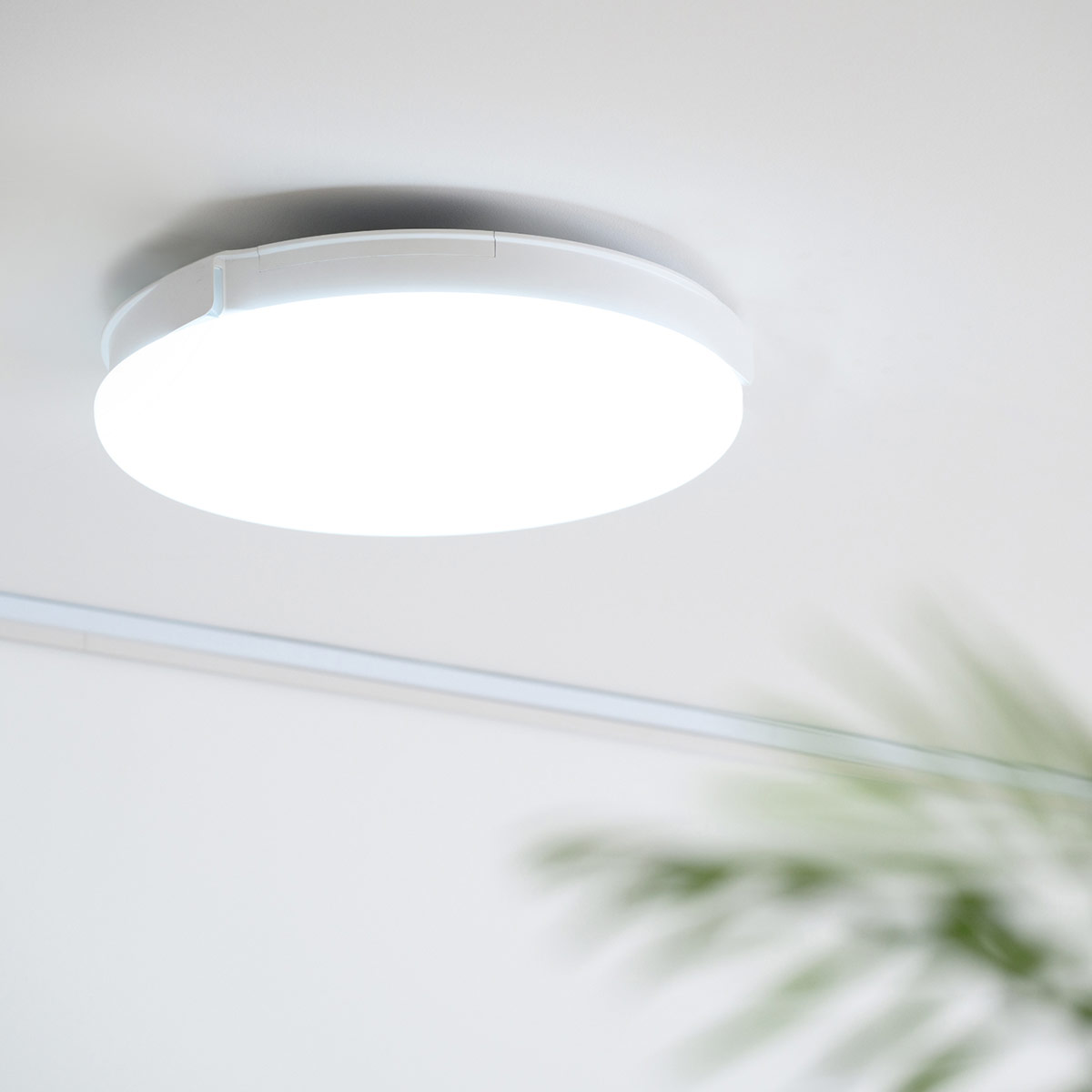 フォルモサ LEDフラワーライト ピオニーブーケ | ABCミッケ｜【公式