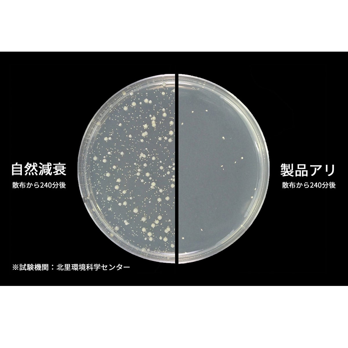 2/16～2/18】UZUKAZEⅢ LEDファンシーリングライト 特典付 | ABC