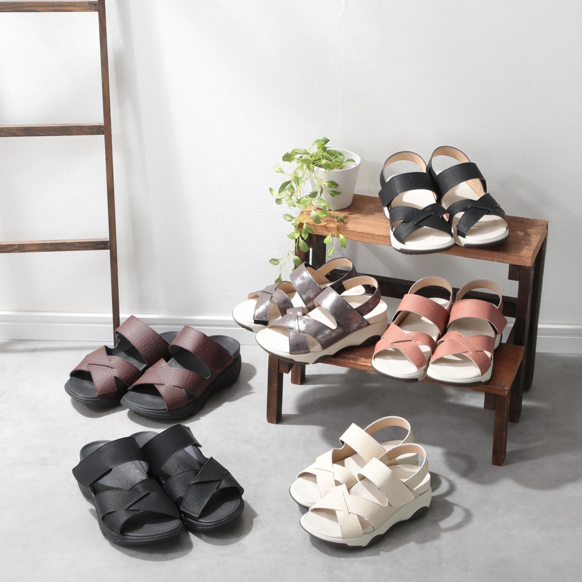 ABCミッケ｜【公式】ABC通販サイト