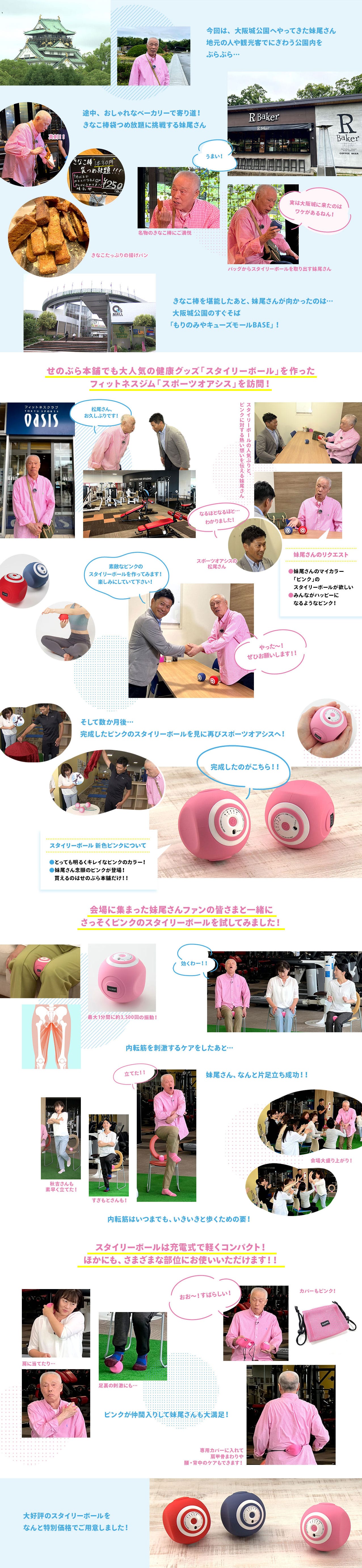 【新品・未使用】スタイリーボール 赤 楽天市場】【最強配送】東急スポーツオアシス スタイリーボール